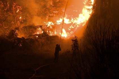 Важна информация с контакти в помощ на засегнати при пожарите на територията на Гърция